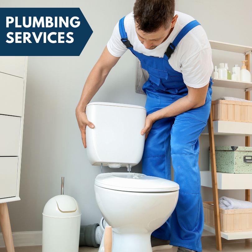 Plumbing Company in Osseo, MI